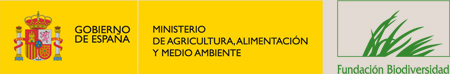 Logo_FBIO